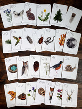 Load image into Gallery viewer, Backyard Nature Alphabet Flashcards, Set of 26 Cards
