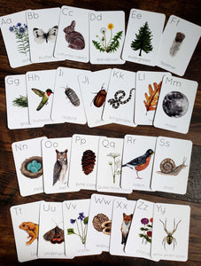 Backyard Nature Alphabet Flashcards, Set of 26 Cards