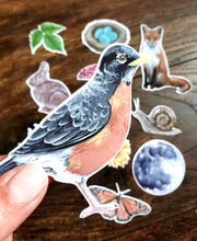 Load image into Gallery viewer, Backyard Nature Sticker Pack, Set of 11 Stickers
